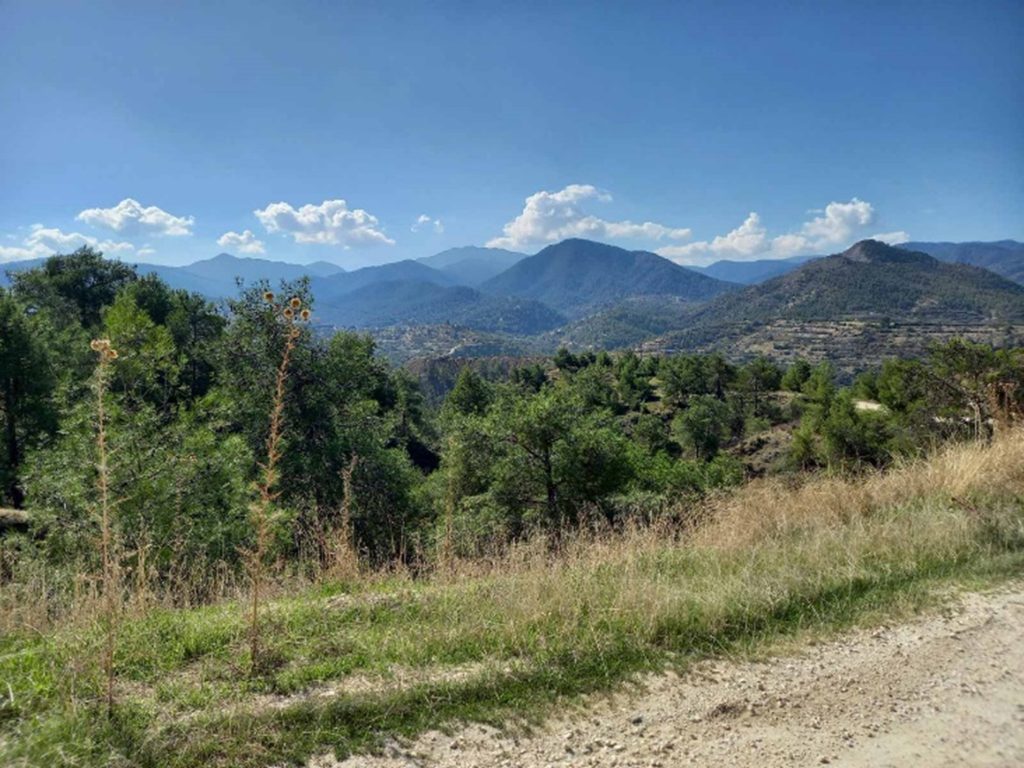 Περίπατος στο Μέμι metallio2