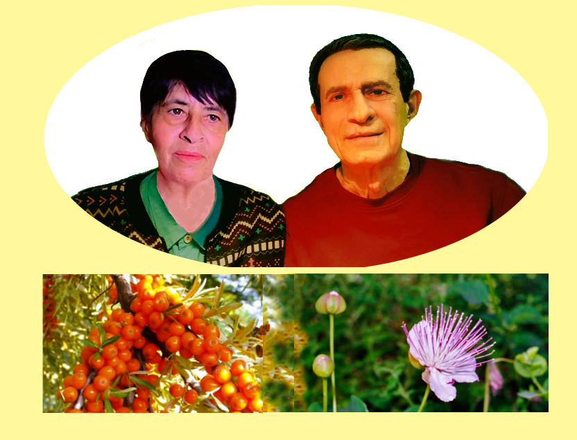 ΦΩΤΟΓΡΑΦΙΑ ΑΝΑΡΡΩΣΗΣ