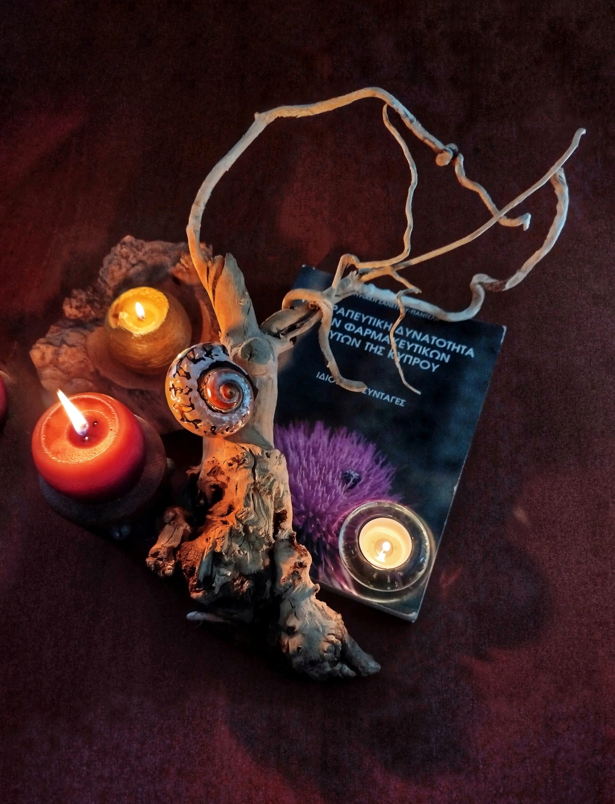 img 20260122 134244 (1)