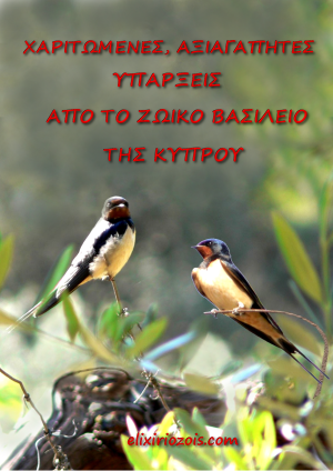 ΧΑΡΙΤΩΜΕΝΕΣ, ΑΞΙΑΓΑΠΗΤΕΣ ΥΠΑΡΞΕΙΣ ΑΠΟ ΤΟ ΖΩΙΚΟ ΒΑΣΙΛΕΙΟ ΤΗΣ ΚΥΠΡΟΥ